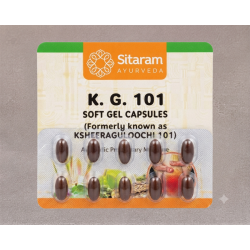 KG 101